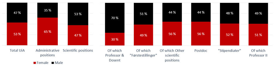 Gender balance at UiA, graphs