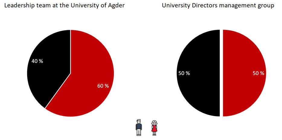 Gender balance in the leadership of UiA, diagramme