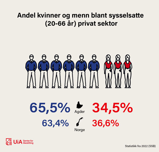 Illustrasjon: Det er 65,5 prosent menn i privat sektor på Agder mot 63,4 prosent i Norge